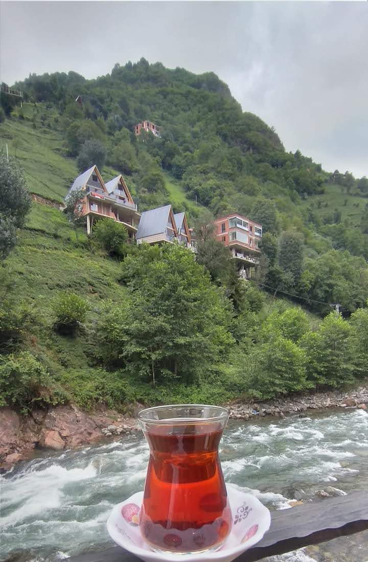 Murat Rize